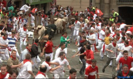 西班牙斗牛视频完整版,西班牙斗牛艺术与传统的视觉盛宴